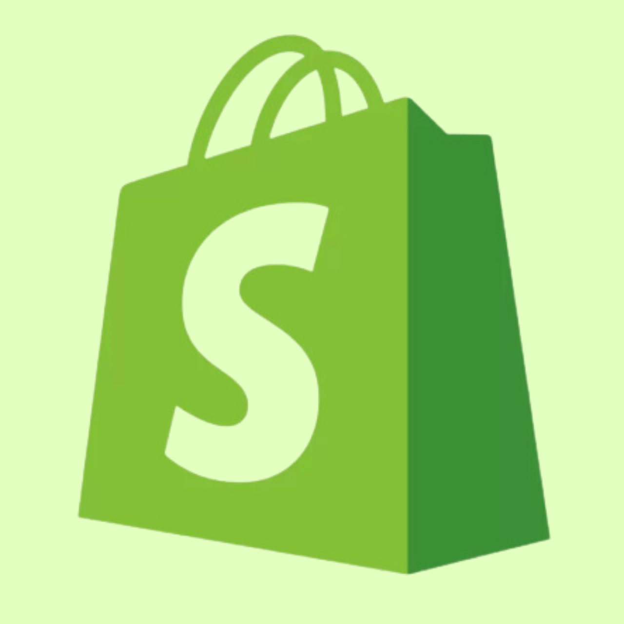 Professionell gestalteter Shopify Store